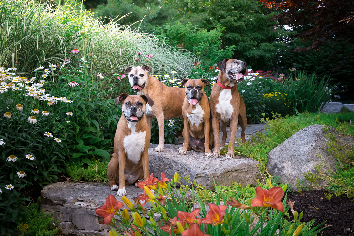 Dogkind Candle Co.