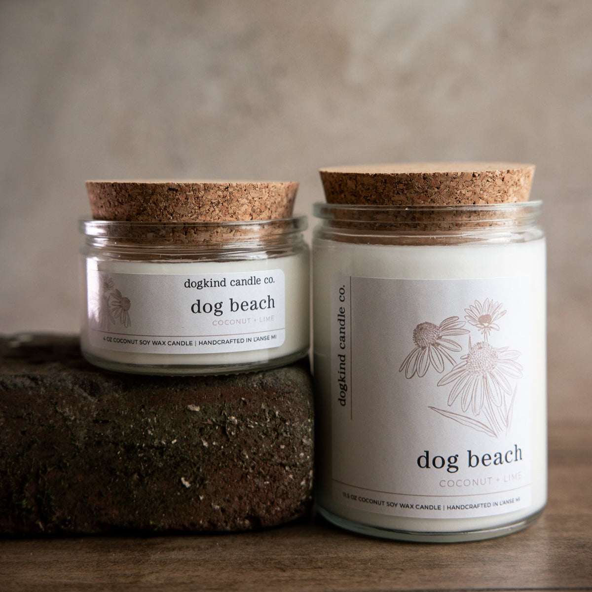 dog beach - coconut + lime 11.5oz