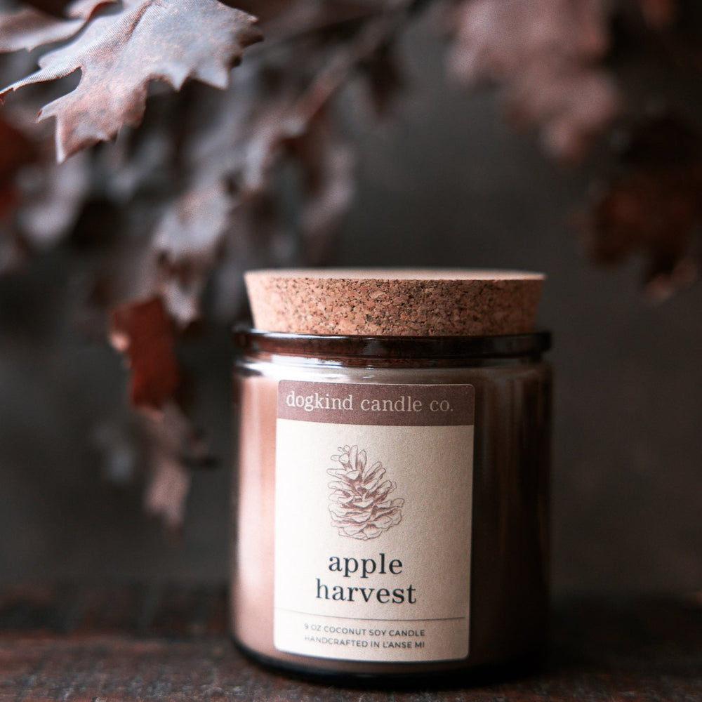 Jar of 'Apple Harvest' scented candle from Dogkind Candle Co. with autumn leaves in the background.