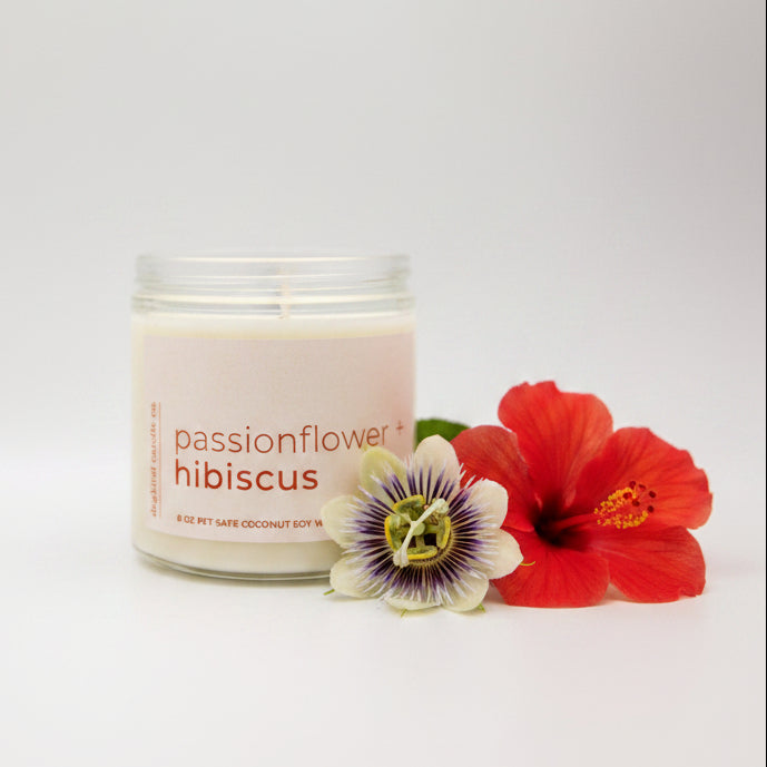 
                  
                    Candle jar labeled 'passionflower hibiscus' on a white background
                  
                