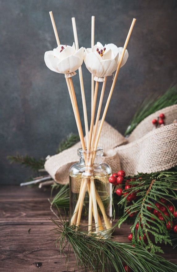 
                  
                    holiday reed diffusers
                  
                