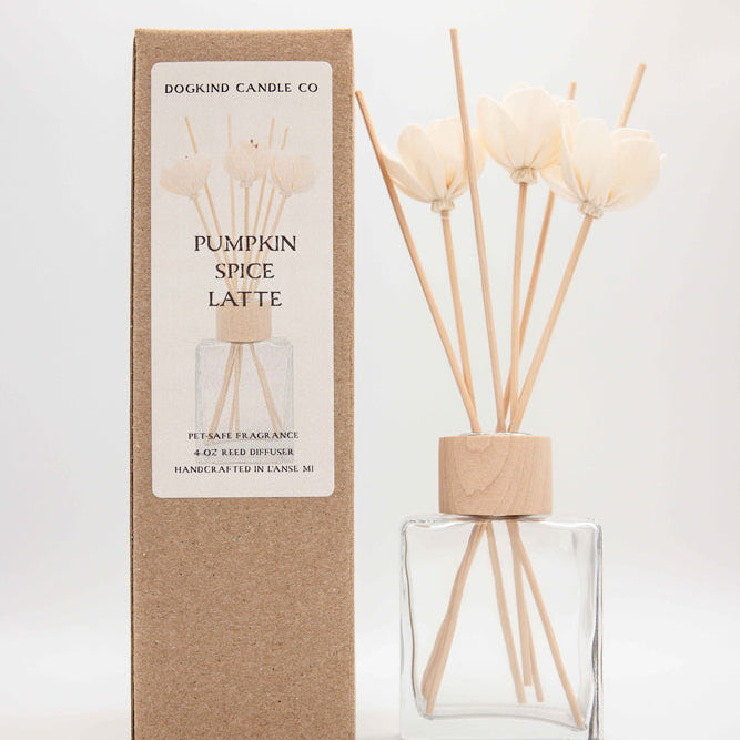 A Dogkind Candle Co. Pumpkin Spice Latte reed diffuser shown with its kraft paper packaging box and the diffuser bottle containing natural wood reeds and cream-colored flower heads.
